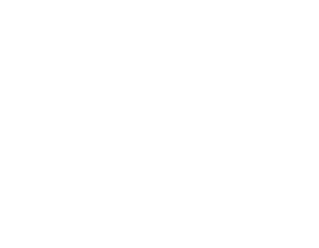 Auto écoles volant